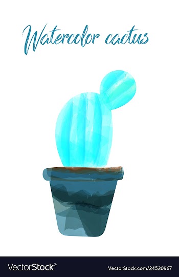 Cactus isolated on white background watercolor vector image