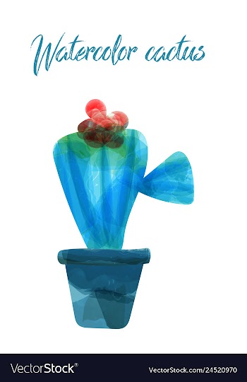 Cactus isolated on white background watercolor vector image