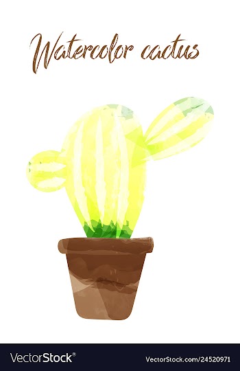 Cactus isolated on white background watercolor vector image
