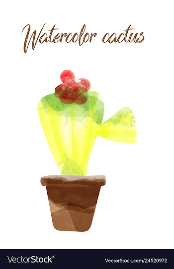 Cactus isolated on white background watercolor vector image
