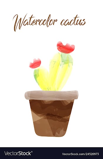 Cactus isolated on white background watercolor vector image