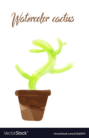 Cactus isolated on white background watercolor vector image