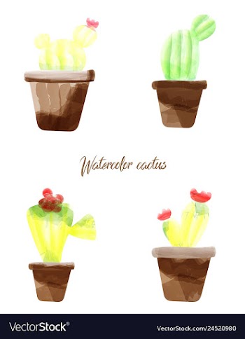 Cactus isolated on white background watercolor vector image