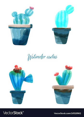 Cactus isolated on white background watercolor vector image