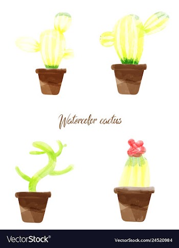 Cactus isolated on white background watercolor vector image