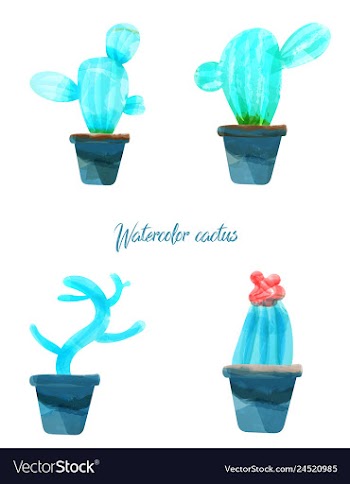 Cactus isolated on white background watercolor vector image