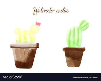 Cactus isolated on white background watercolor vector image