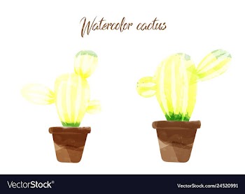 Cactus isolated on white background watercolor vector image