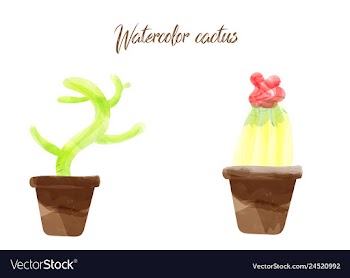 Cactus isolated on white background watercolor vector image