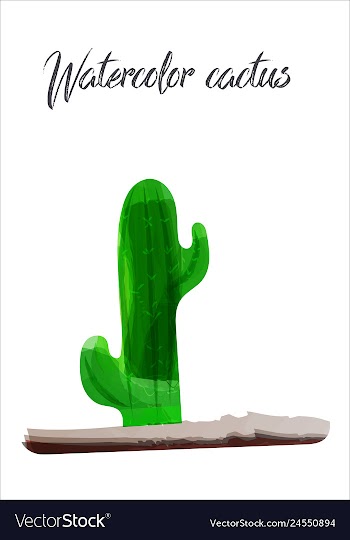Cactus isolated on white background watercolor vector image