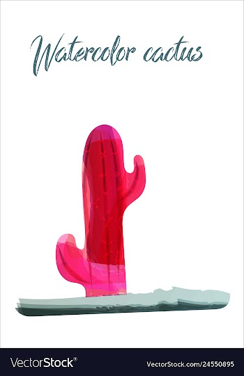 Cactus isolated on white background watercolor vector image
