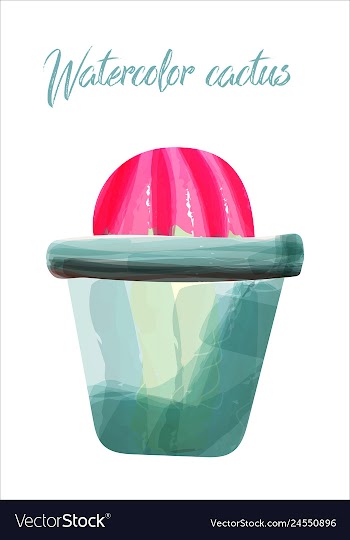 Cactus isolated on white background watercolor vector image