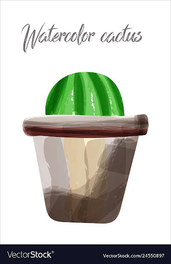 Cactus isolated on white background watercolor vector image