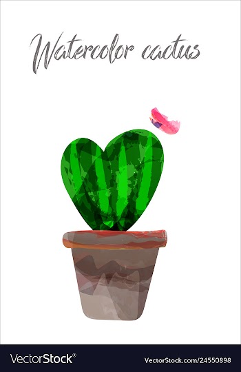 Cactus isolated on white background watercolor vector image