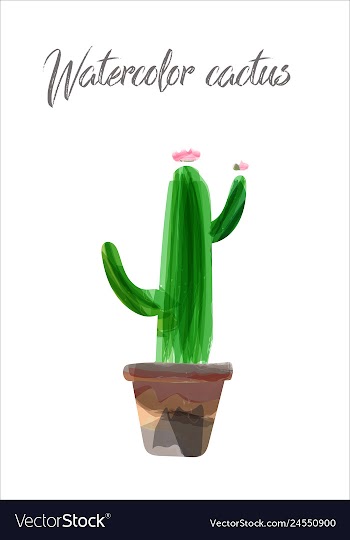 Cactus isolated on white background watercolor vector image