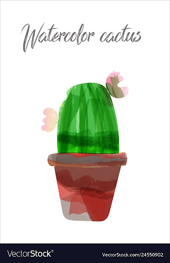 Cactus isolated on white background watercolor vector image