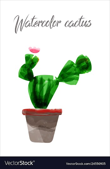 Cactus isolated on white background watercolor vector image