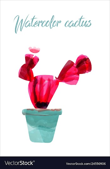 Cactus isolated on white background watercolor vector image