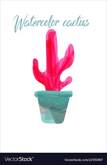 Cactus isolated on white background watercolor vector image
