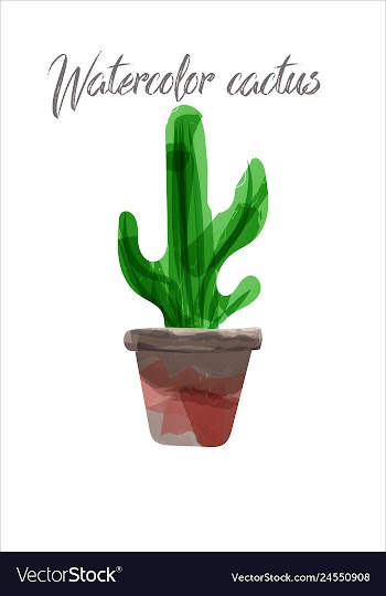 Cactus isolated on white background watercolor vector image