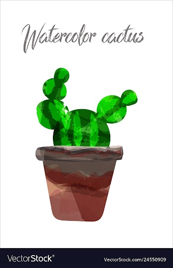 Cactus isolated on white background watercolor vector image