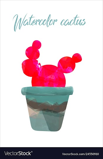 Cactus isolated on white background watercolor vector image