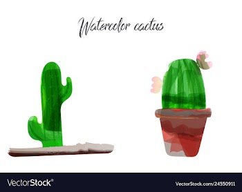 Cactus isolated on white background watercolor vector image