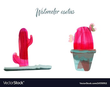 Cactus isolated on white background watercolor vector image