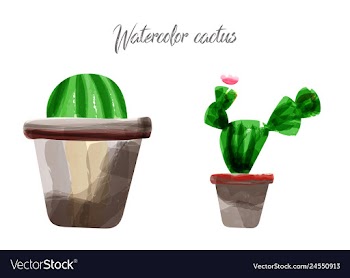 Cactus isolated on white background watercolor vector image