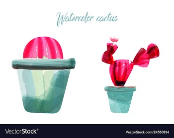 Cactus isolated on white background watercolor vector image