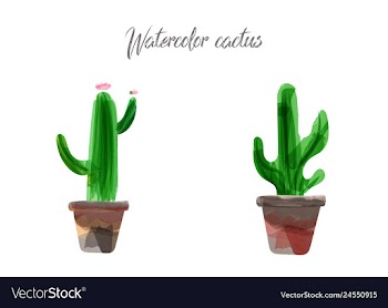 Cactus isolated on white background watercolor vector image
