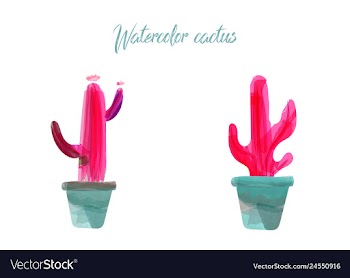Cactus isolated on white background watercolor vector image