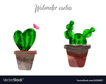 Cactus isolated on white background watercolor vector image