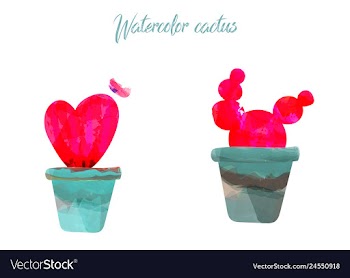 Cactus isolated on white background watercolor vector image
