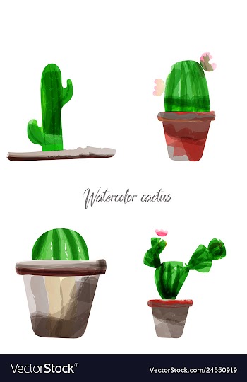 Cactus isolated on white background watercolor vector image