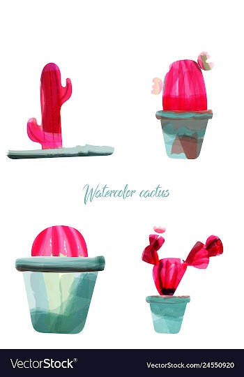 Cactus isolated on white background watercolor vector image