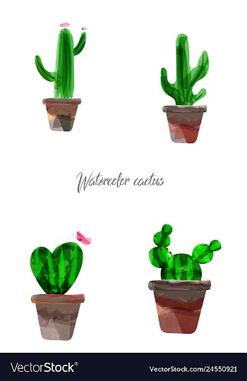 Cactus isolated on white background watercolor vector image