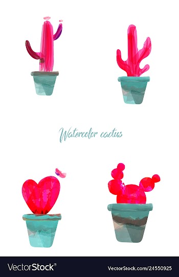 Cactus isolated on white background watercolor vector image