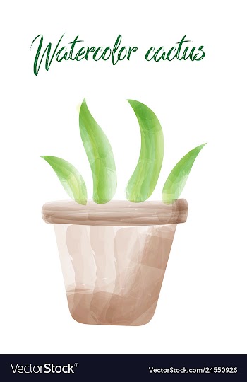Cactus isolated on white background watercolor vector image