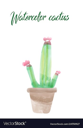 Cactus isolated on white background watercolor vector image
