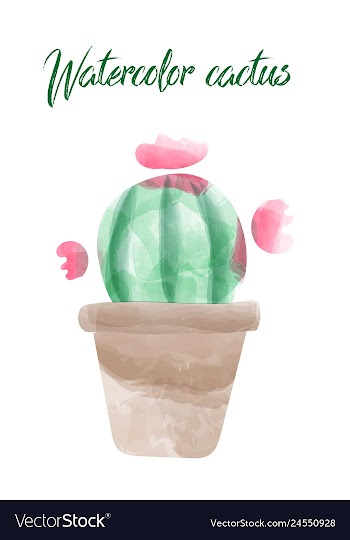 Cactus isolated on white background watercolor vector image
