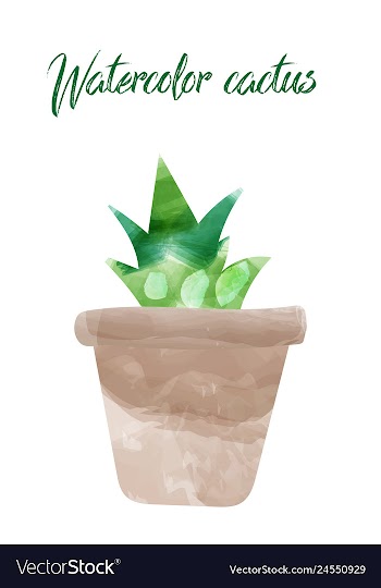 Cactus isolated on white background watercolor vector image