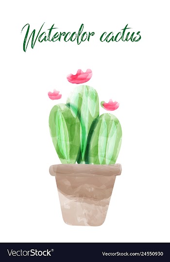 Cactus isolated on white background watercolor vector image