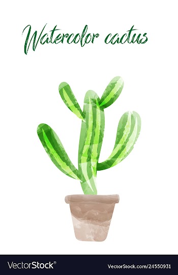 Cactus isolated on white background watercolor vector image