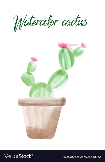 Cactus isolated on white background watercolor vector image