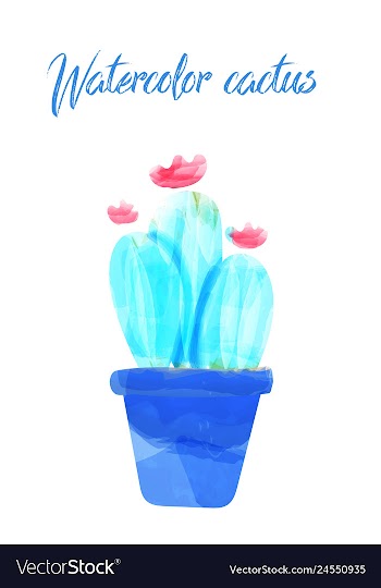 Cactus isolated on white background watercolor vector image
