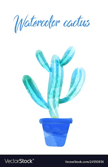Cactus isolated on white background watercolor vector image