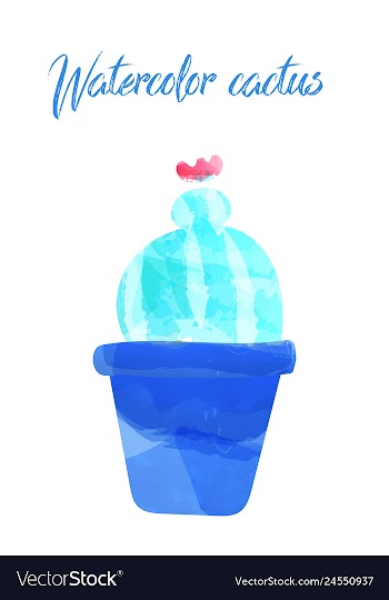 Cactus isolated on white background watercolor vector image