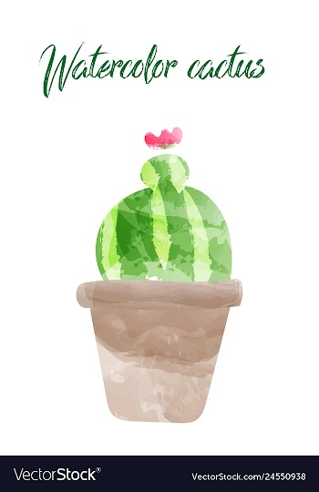 Cactus isolated on white background watercolor vector image