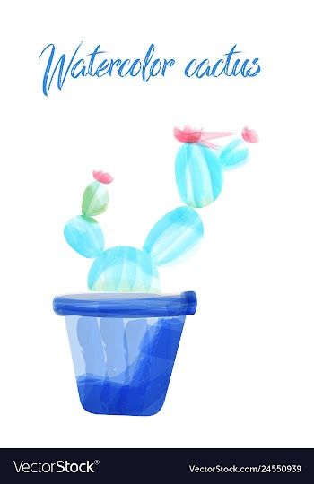 Cactus isolated on white background watercolor vector image
